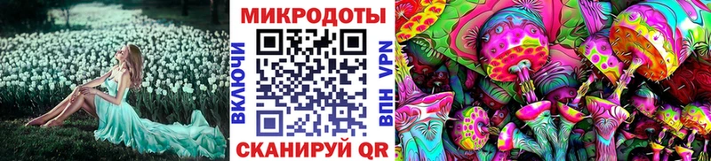 ОМГ ОМГ ссылки Бирюч Псилоцибиновые грибы Magic Shrooms наркошоп